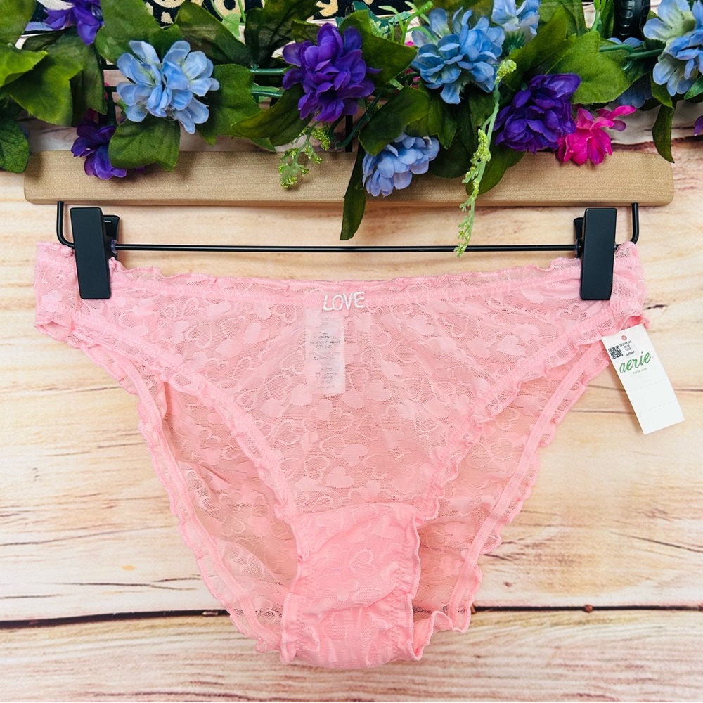 Aerie Light Pink Show Off Heart Print Lace Mesh Bloomer Bikini Underwear M NWT
